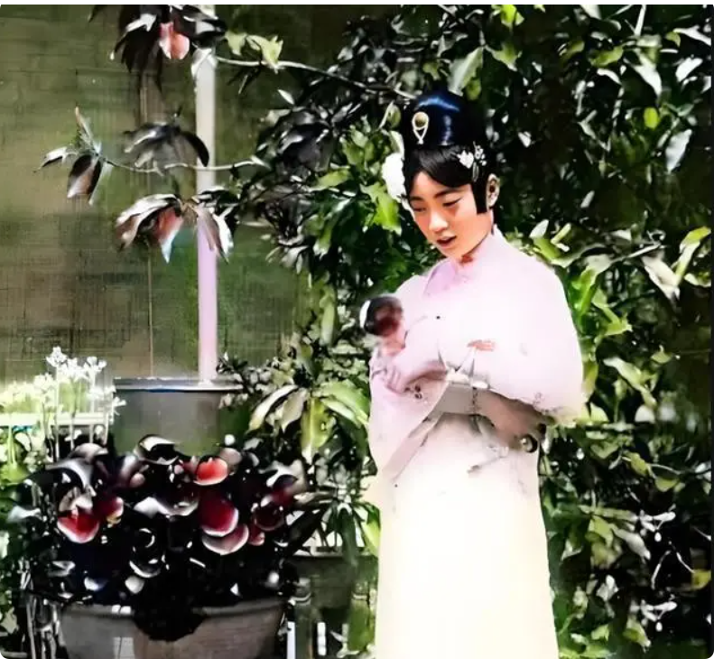 局部截取_20260928_091214.png